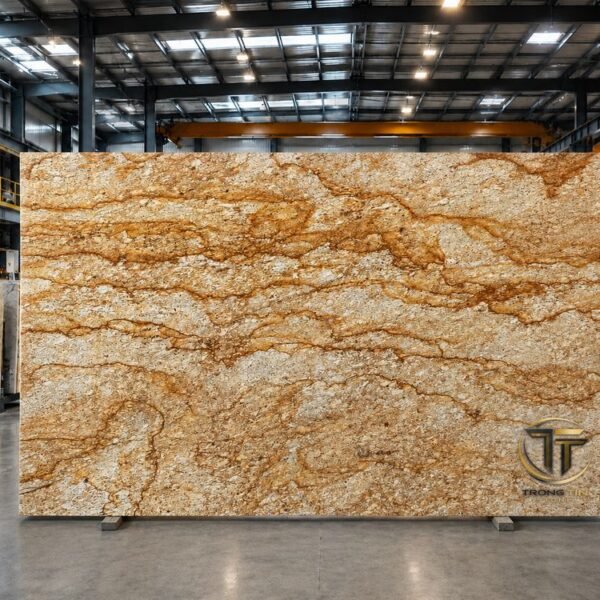 Verniz Gold